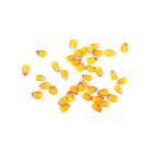 Maïs à Pop corn - 25kg